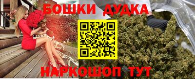 дмт Дубна