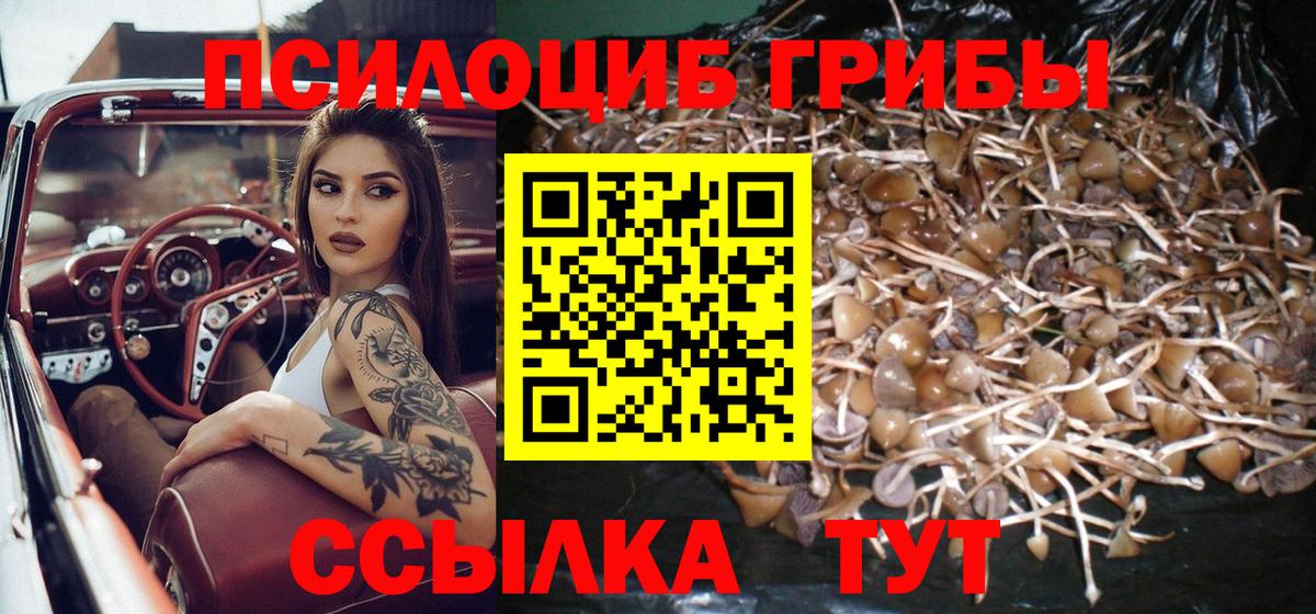 Ливны  Галлюциногенные грибы мицелий  Галлюциногенные грибы MAGIC MUSHROOMS  Вход с VPN 