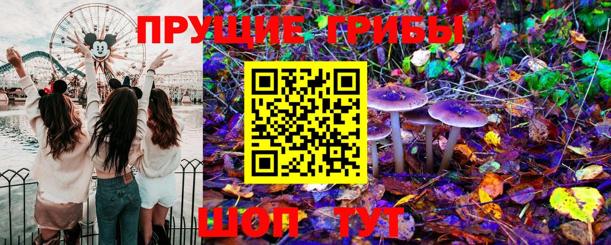 Галлюциногенные грибы Cubensis Ливны